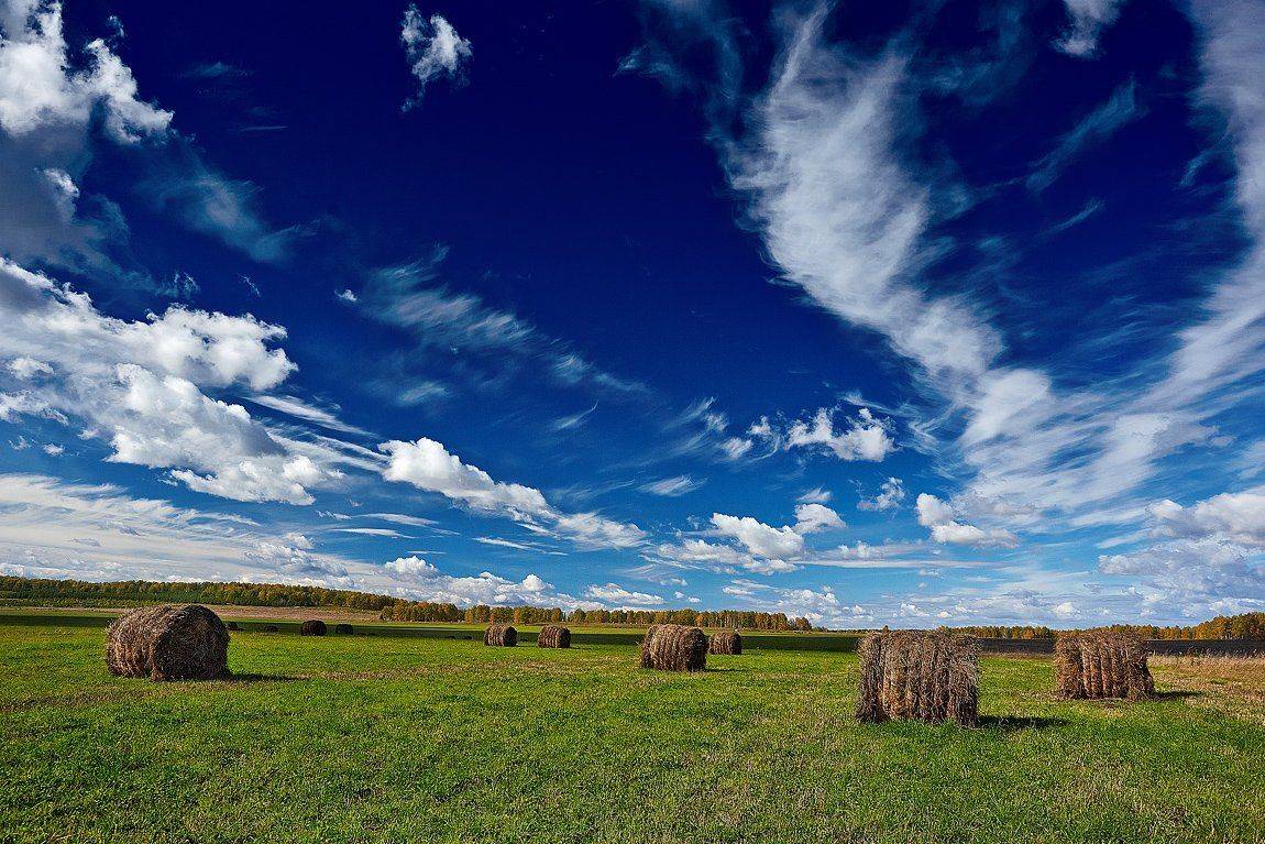 Качурин, Качурин алексей, Орск, Качурин Алексей