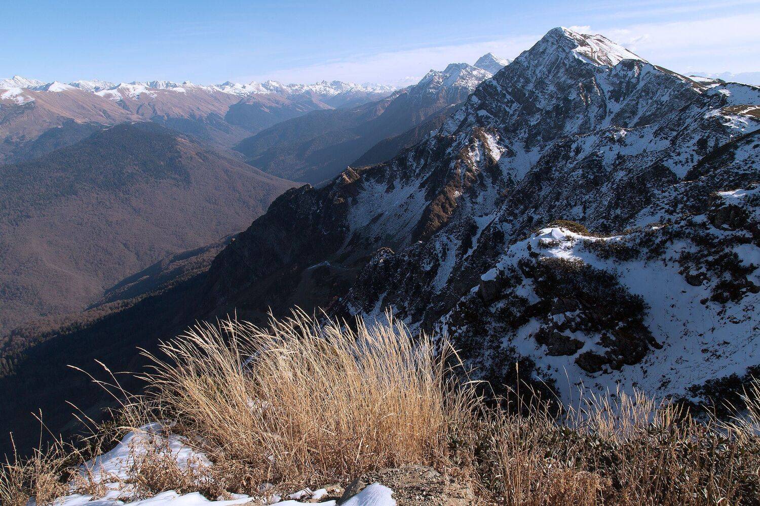 , Поташев Александр