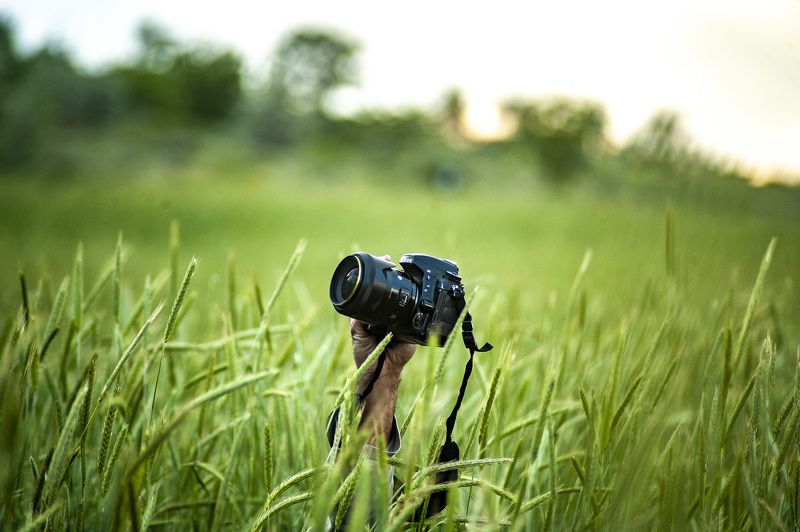 фото превью