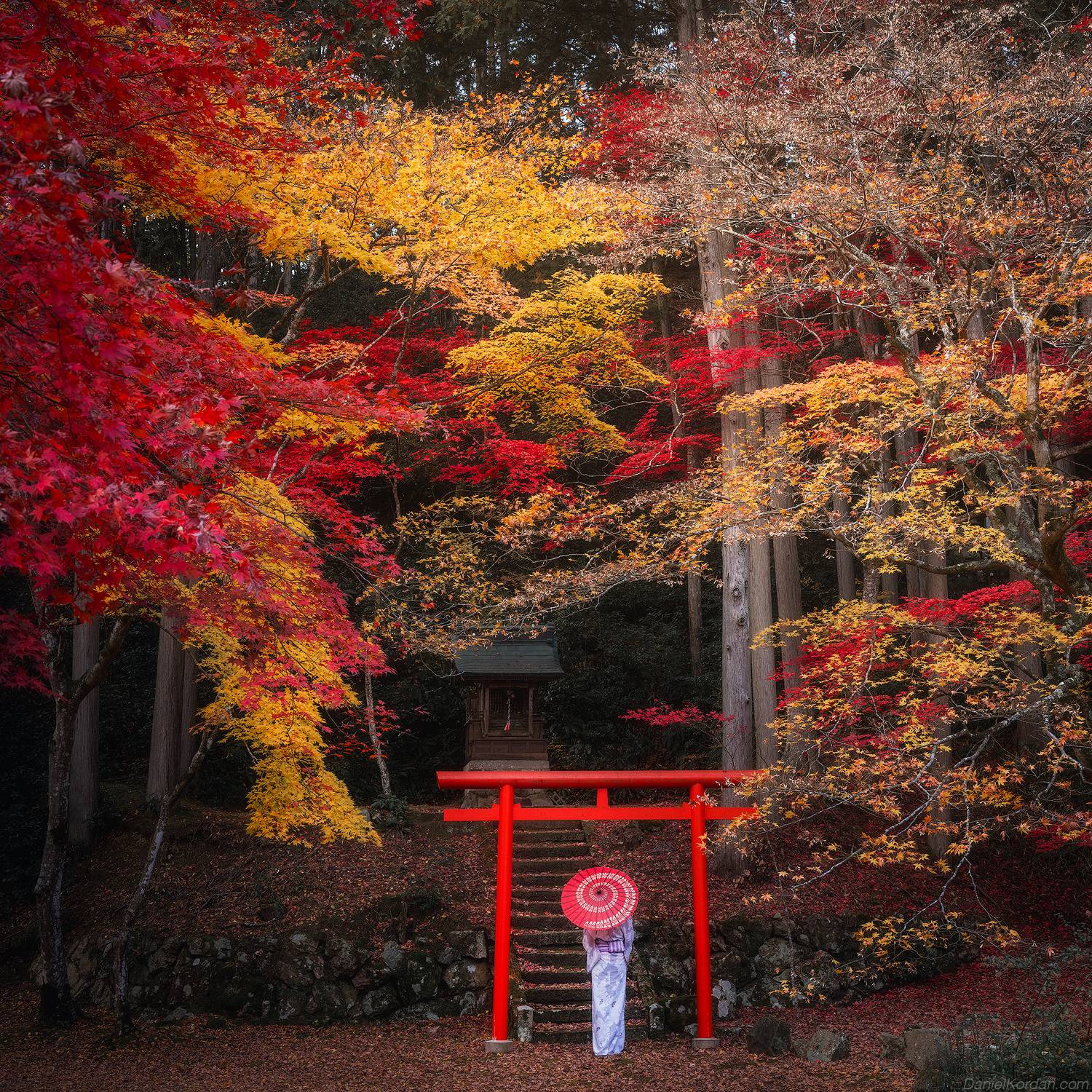 , Даниил Коржонов