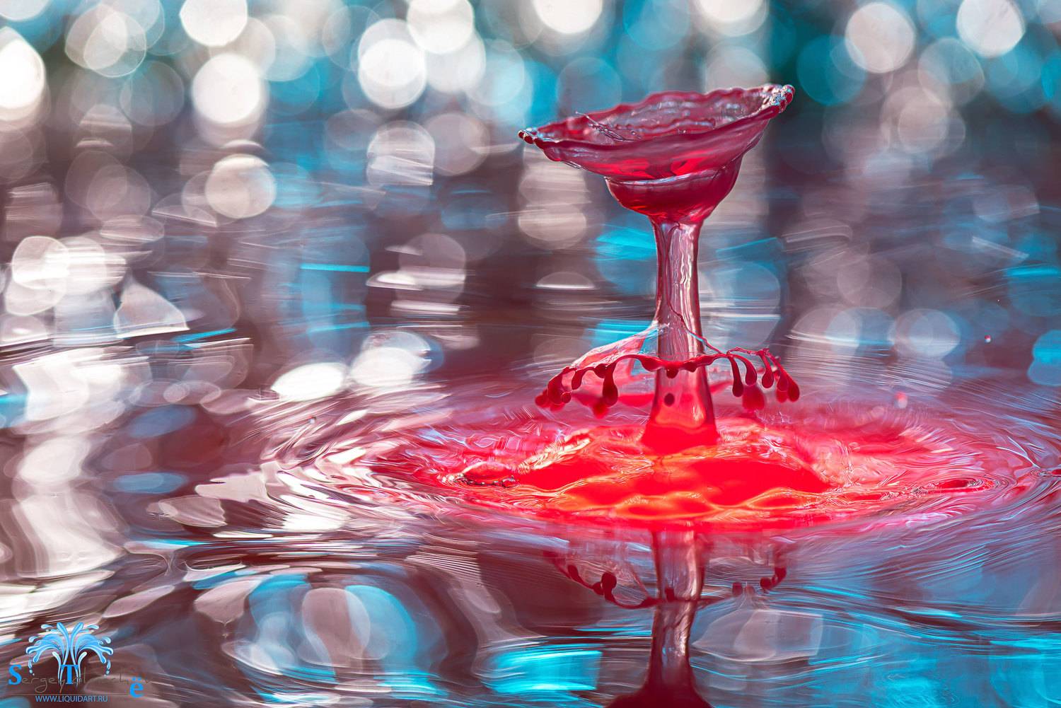 сергейтолмачев, вода, капли, скульптурыизводы, всплеск, уменянакухне, жидкоеискусство,, Сергей Толмачев