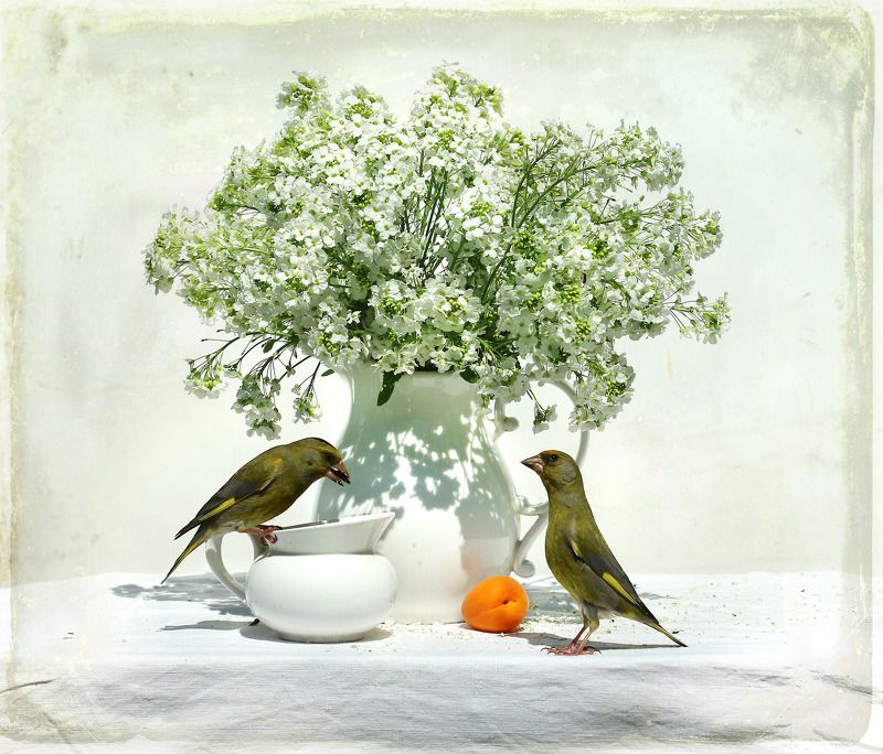 Букет хреновый фото превью