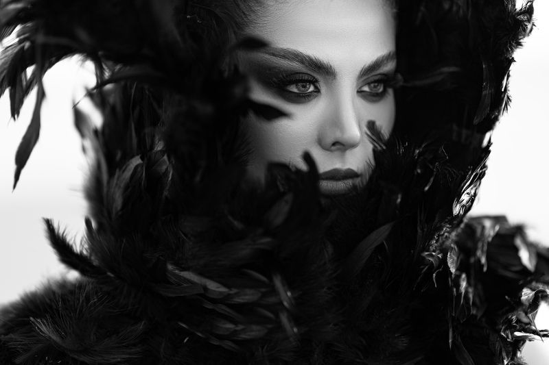 crow фото превью