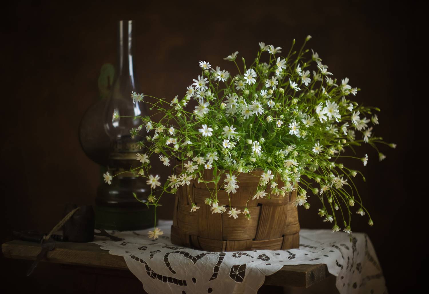 , Хвойнова Елена