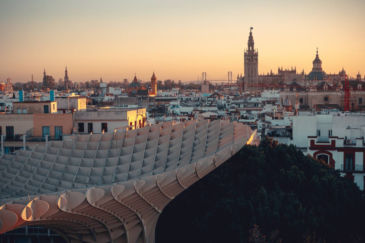 , Трепольский Дмитрий