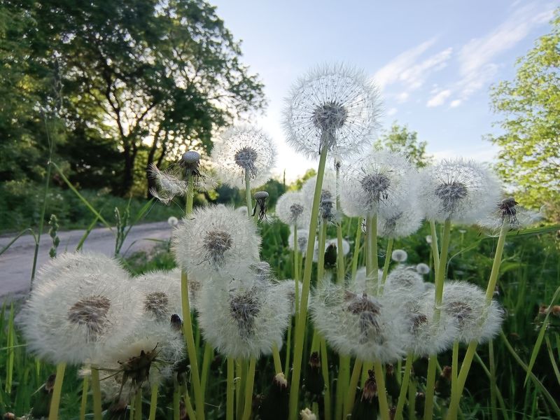 фото превью