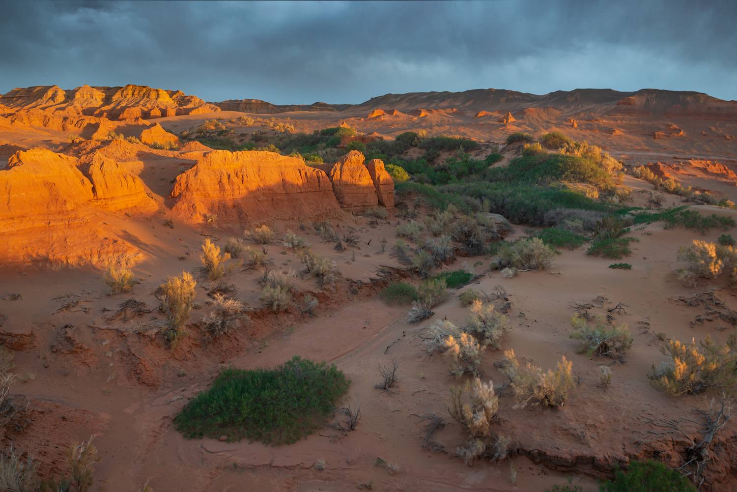 фототур фототур_в_монголию фототур_монголия_фототурмонголия фототурвмонголию хэрменцав хэрмэн_цав хонгорын_элс хонгорынэлс хермен_цавхерменцав, Эдуард Кутыгин