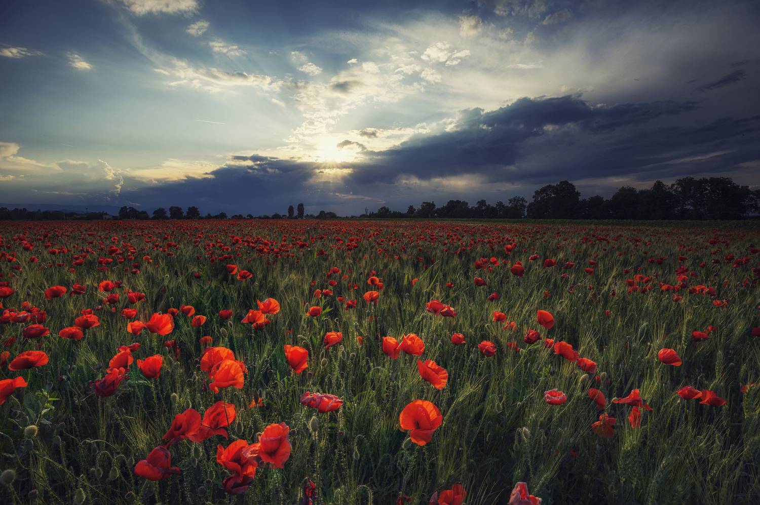 , Костадин Маджаров