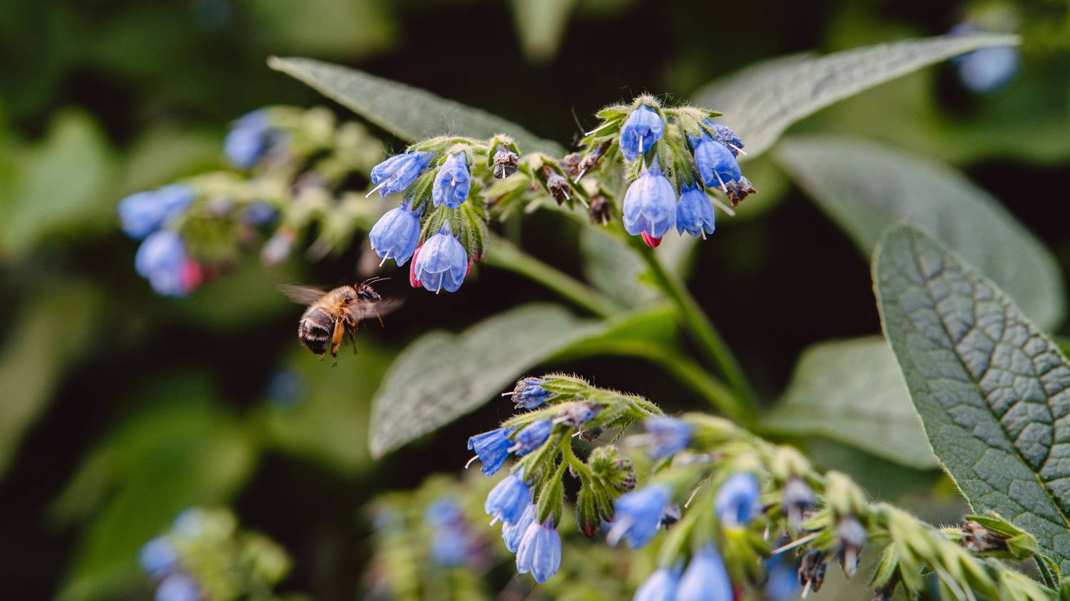 , Вертиков Юрий