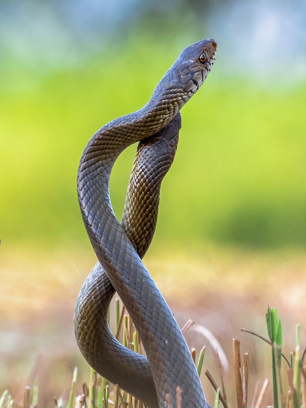 Infinity dance фото превью