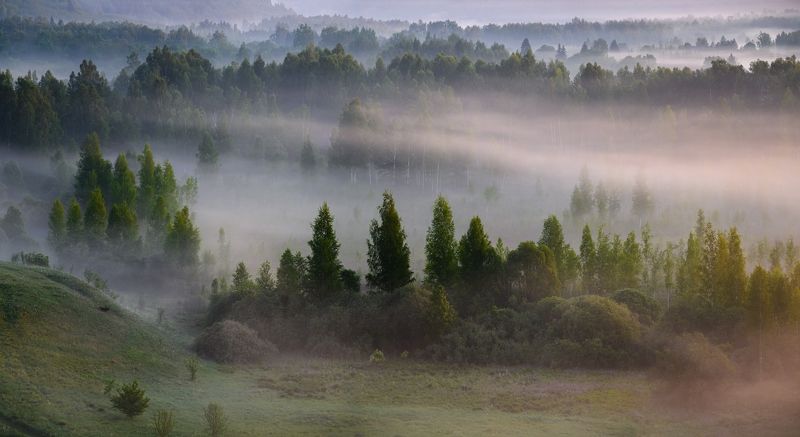 Весна фото превью