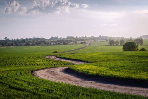 Полевая дорога