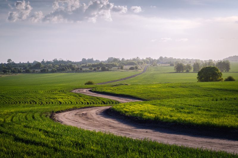 поле, дорога Полевая дорога фото превью