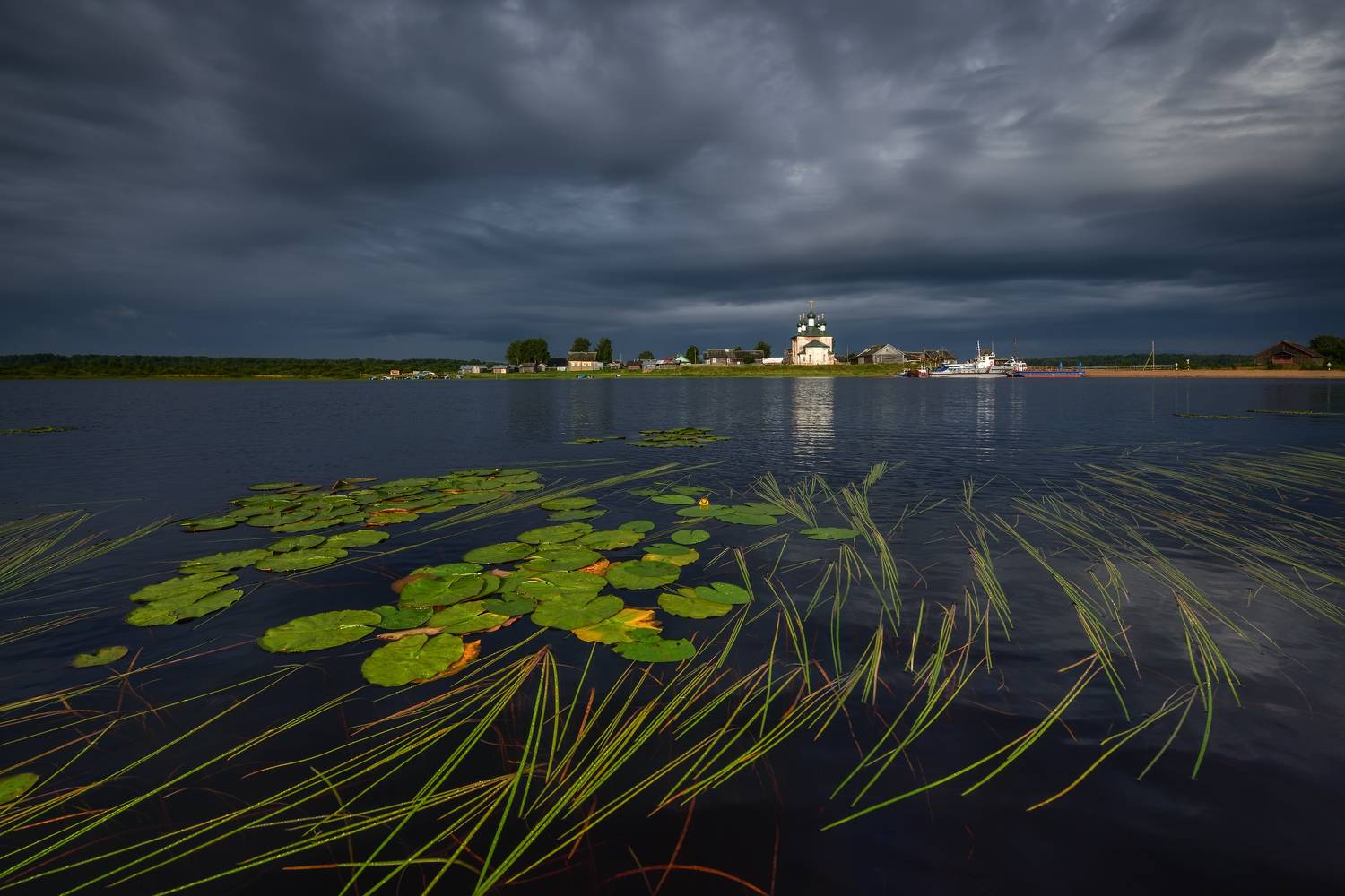 , Максим Евдокимов