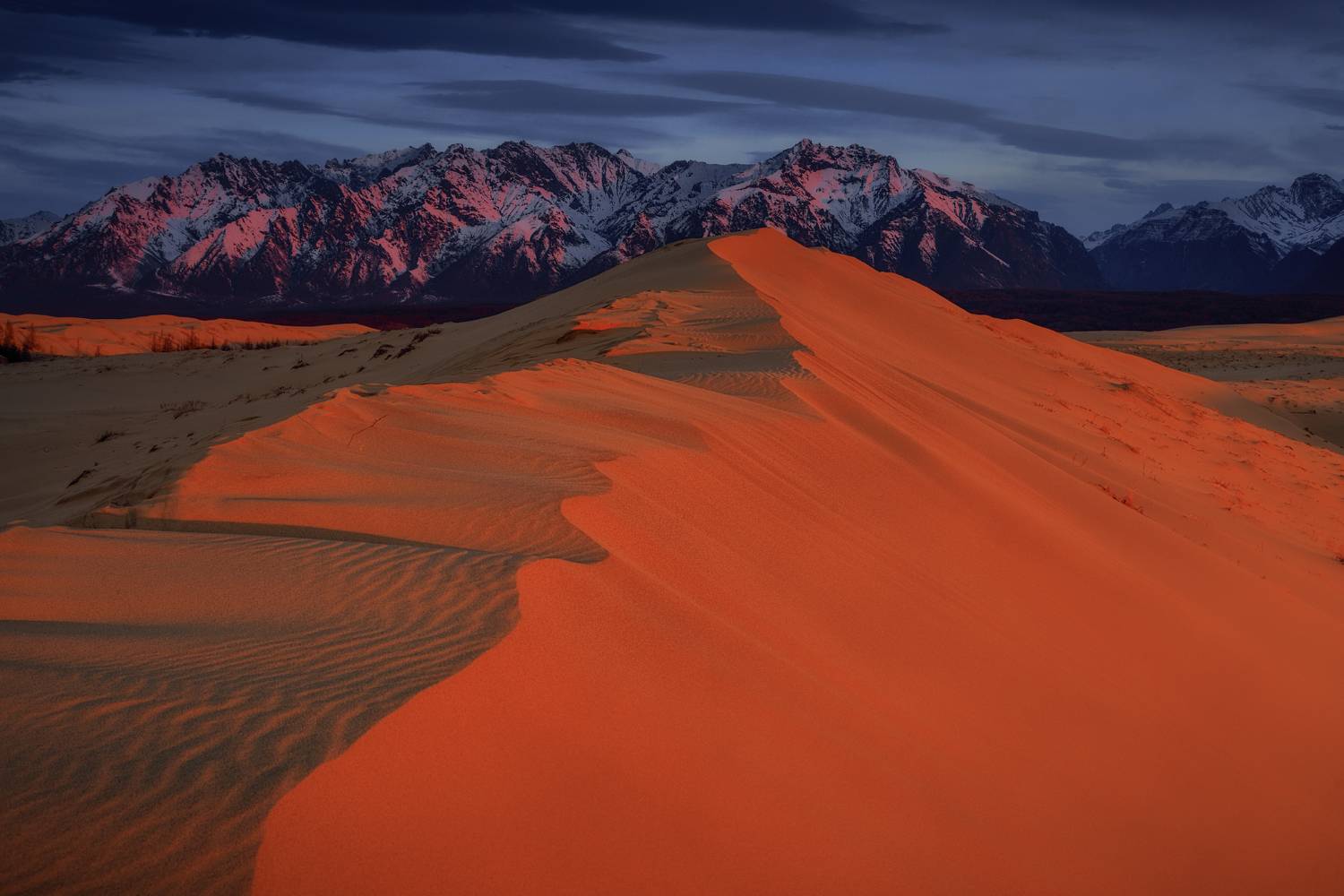 забайкальский край чарские пески чара пустыня рассвет, Шишкин Дмитрий