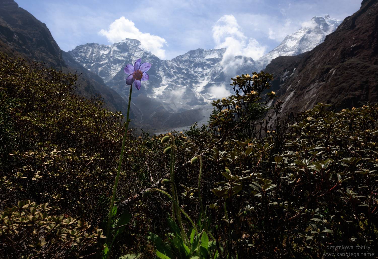 пейзажемагьё, пейзаж-как-виденье, Коваль Дмитр