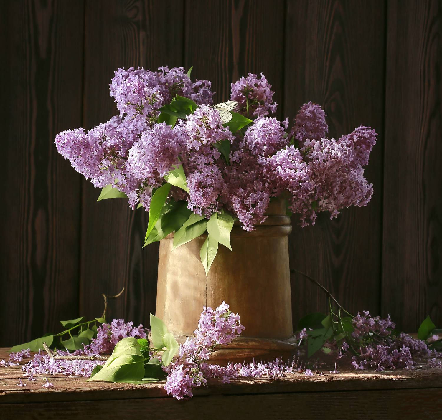 , Наталья Казанцева