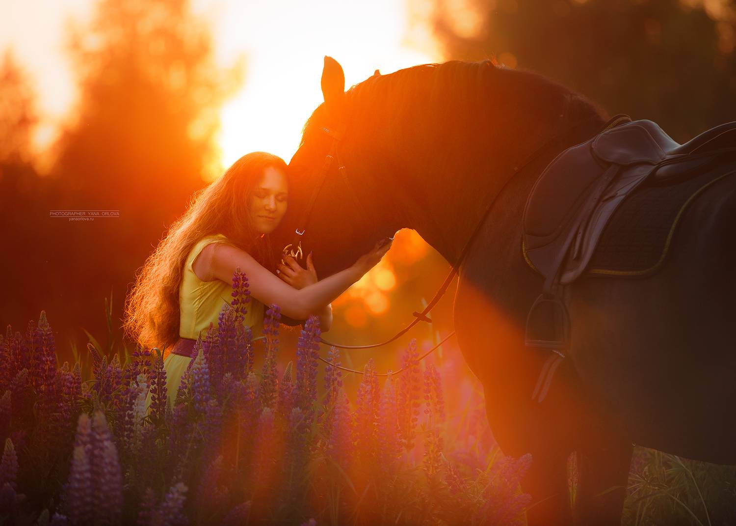 horse, horses, лошадь, конь, конныйфотограф, кэнон, canon, 7020028, лошади, фотографияслошадью, фотосессияслошадью, конный фотограф Яна Орлова,  фотосессиислошадьми, коннаяфотография, pferd, horsephotographer, женский портрет, девушка , Яна Орлова
