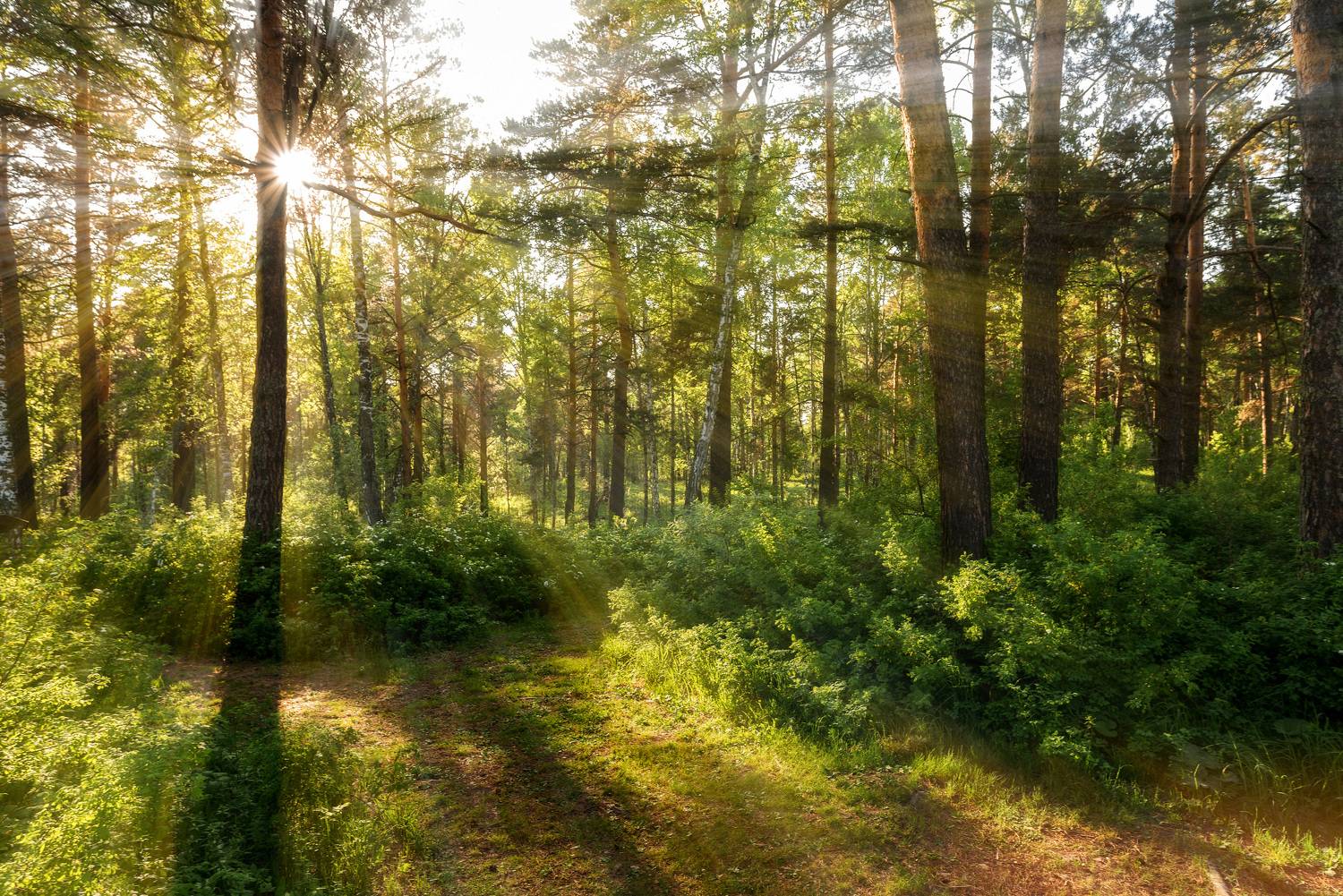 , Рагинская Ольга