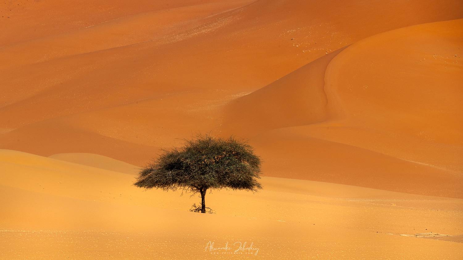 сахара, Alex Mimo