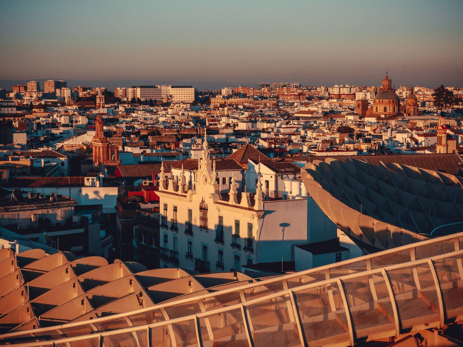 , Трепольский Дмитрий