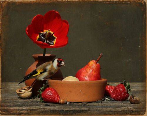 Натюрморт под щегла