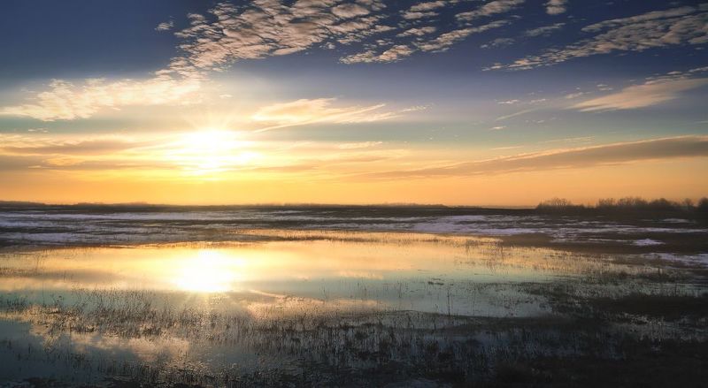 тула, прилепы Весна тульских полей фото превью