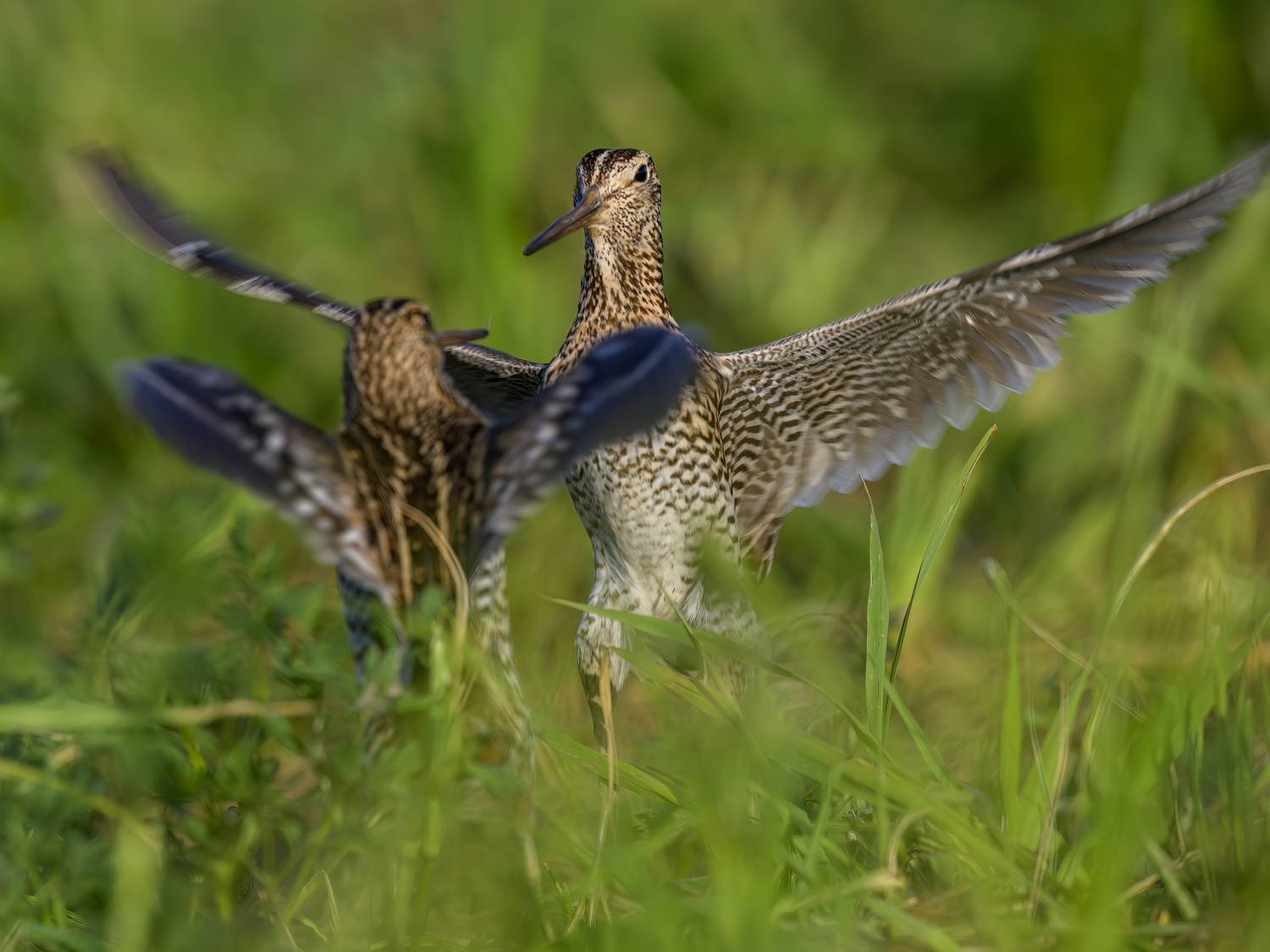 , Пупонин Сергей
