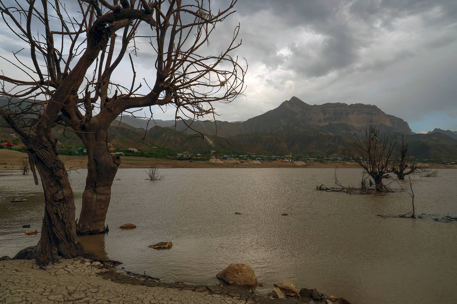 деревья,водохранилище,река,горы,пейзаж,, Magov Marat