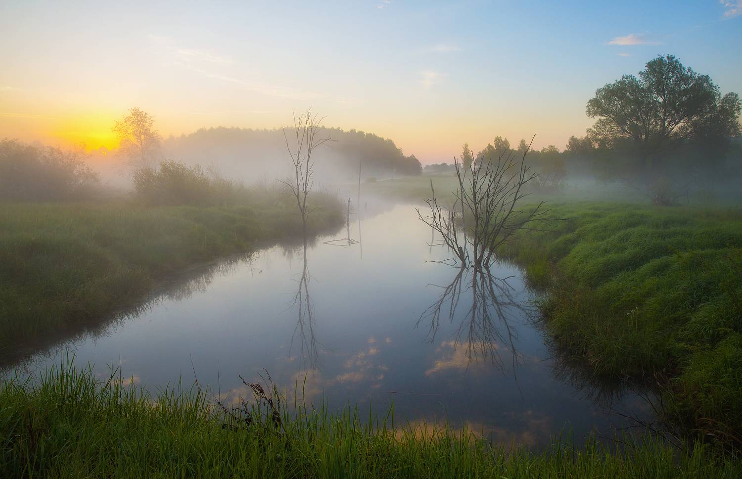 утро, рассвет, туман, пейзаж, Алексей Назаров