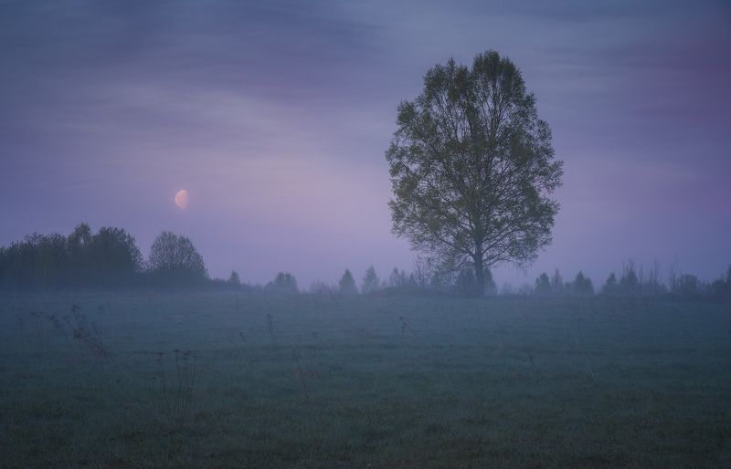 Предрассветная тишина фото превью