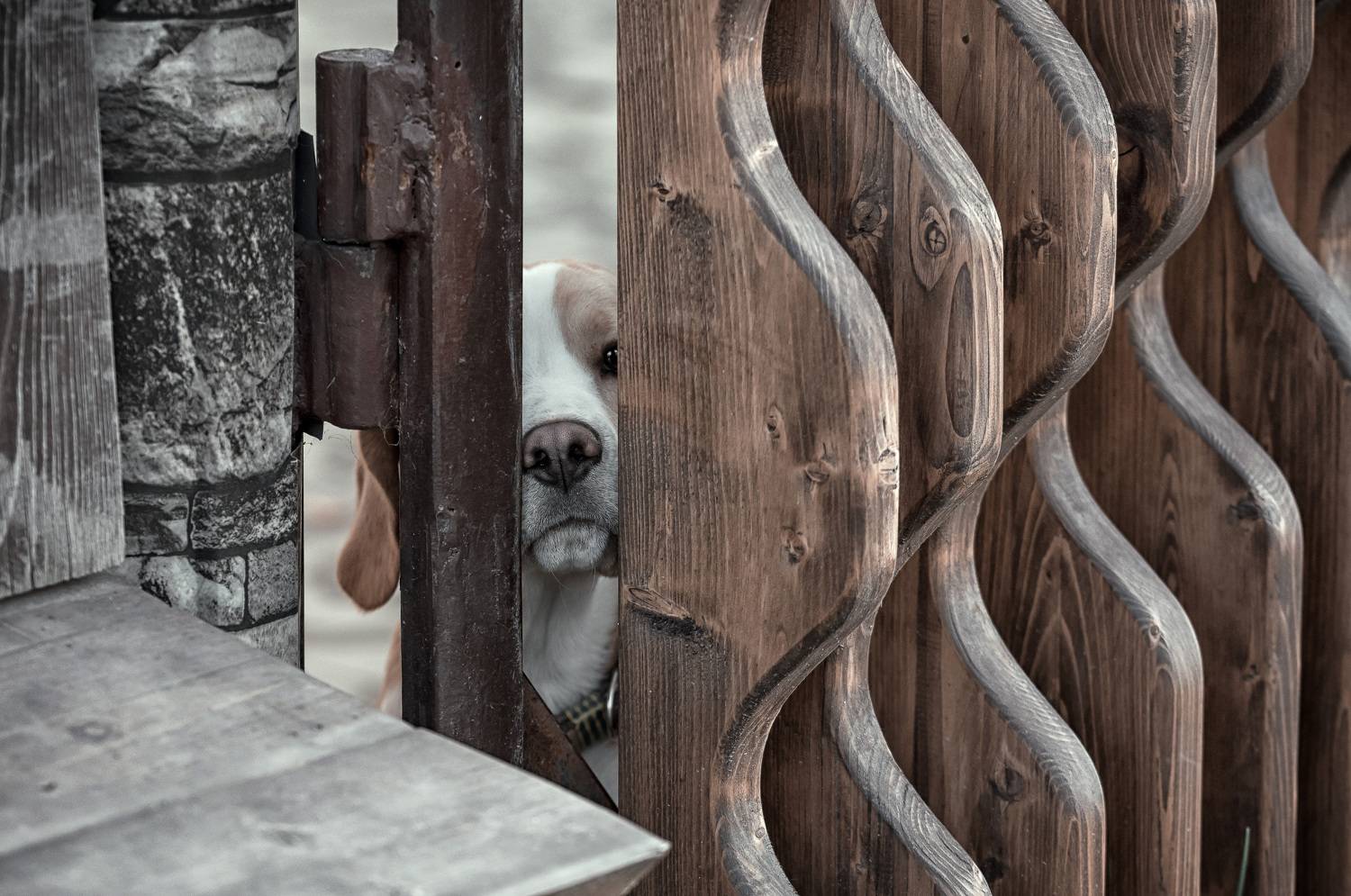 , Рагинская Ольга