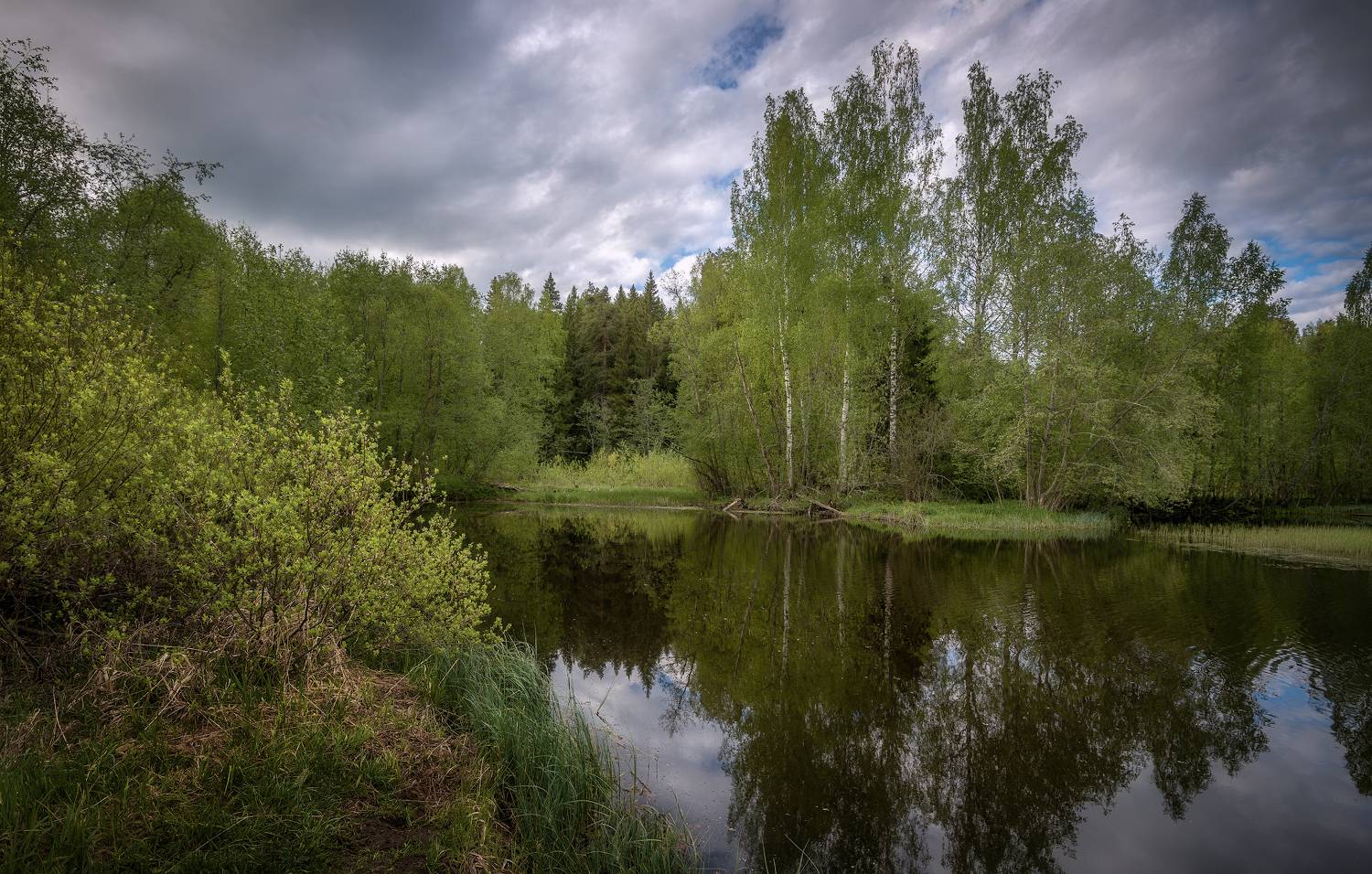 май, река, лес, Сергей Аникин