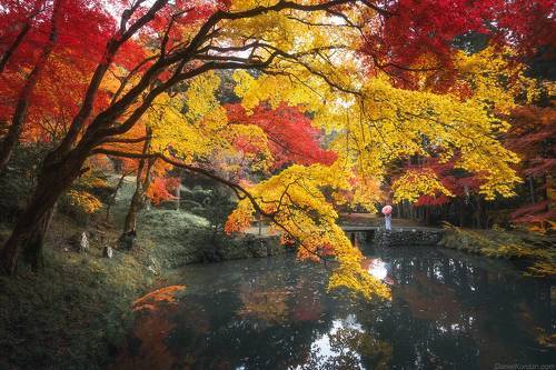 In Japan - Kyoto