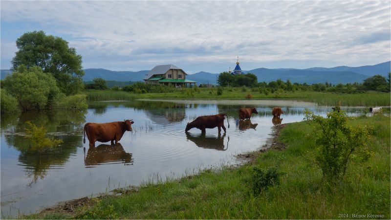Байдарская пастораль фото превью