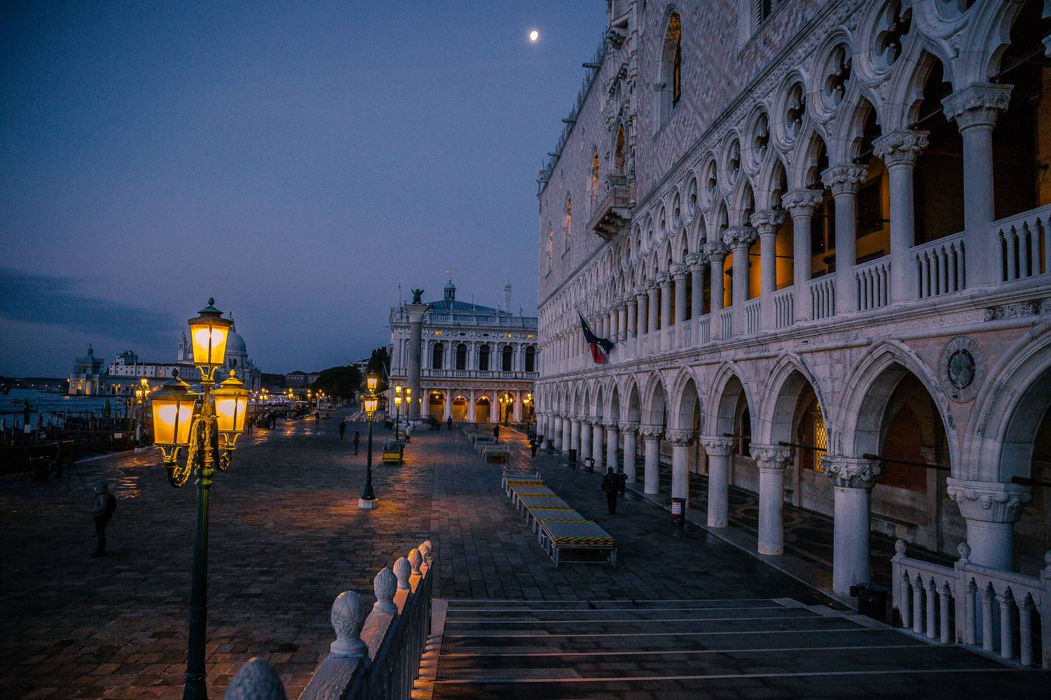 , Трепольский Дмитрий