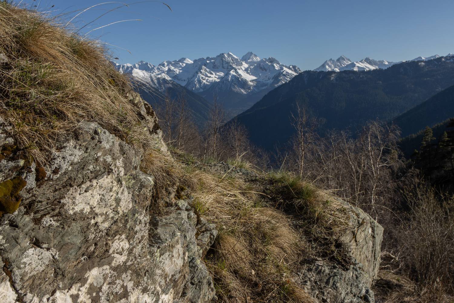 горы, камни, мож, трава, скалы, весна, солнце, Светлана Холодняк