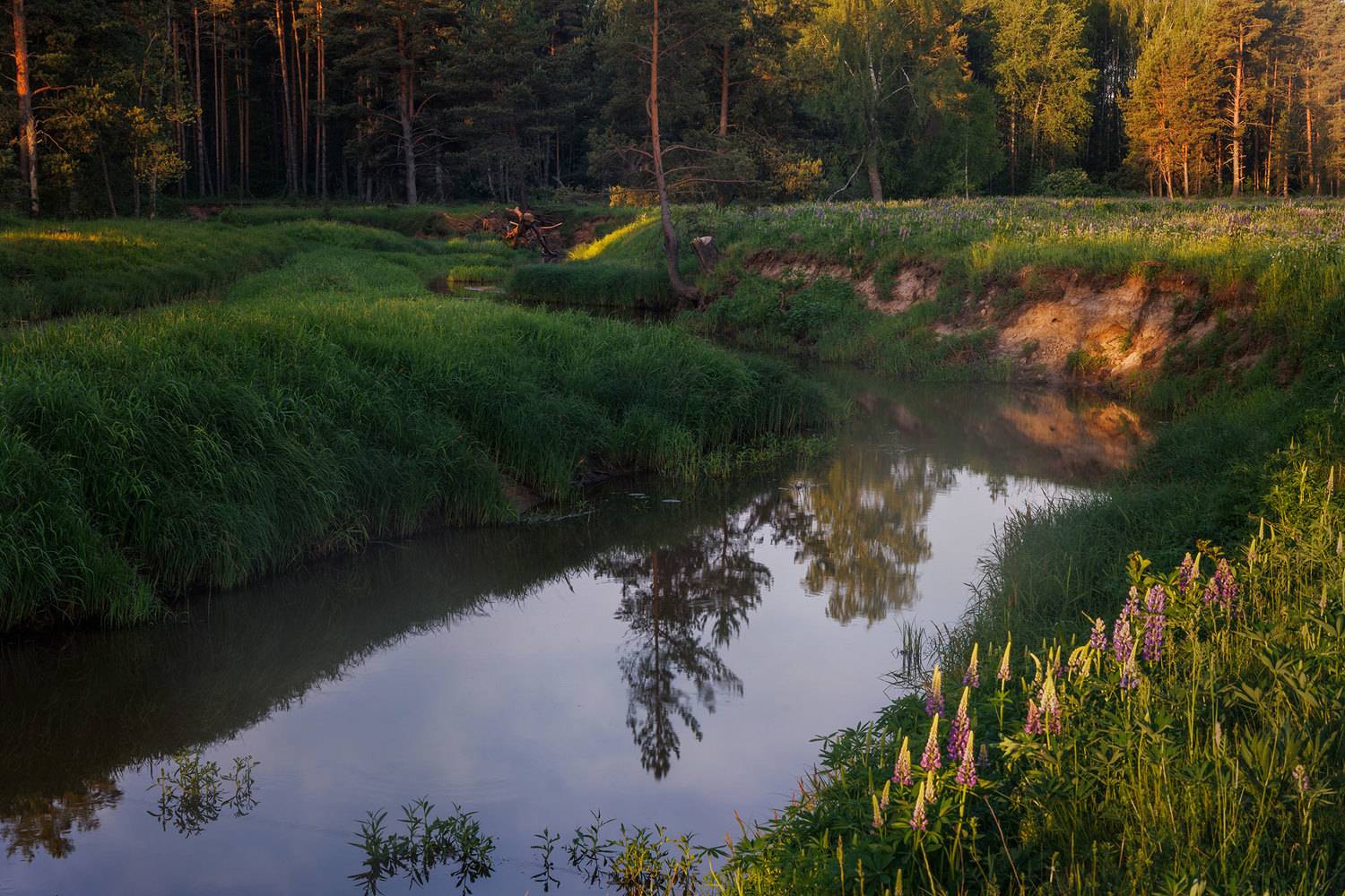 , Морозов Сергей