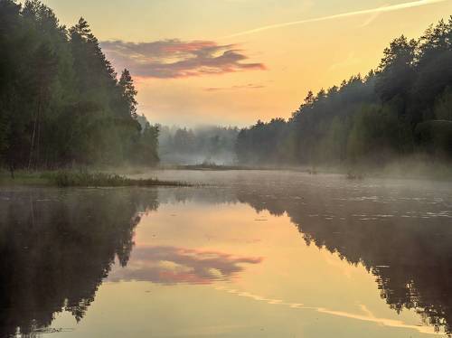 Вечерний туман