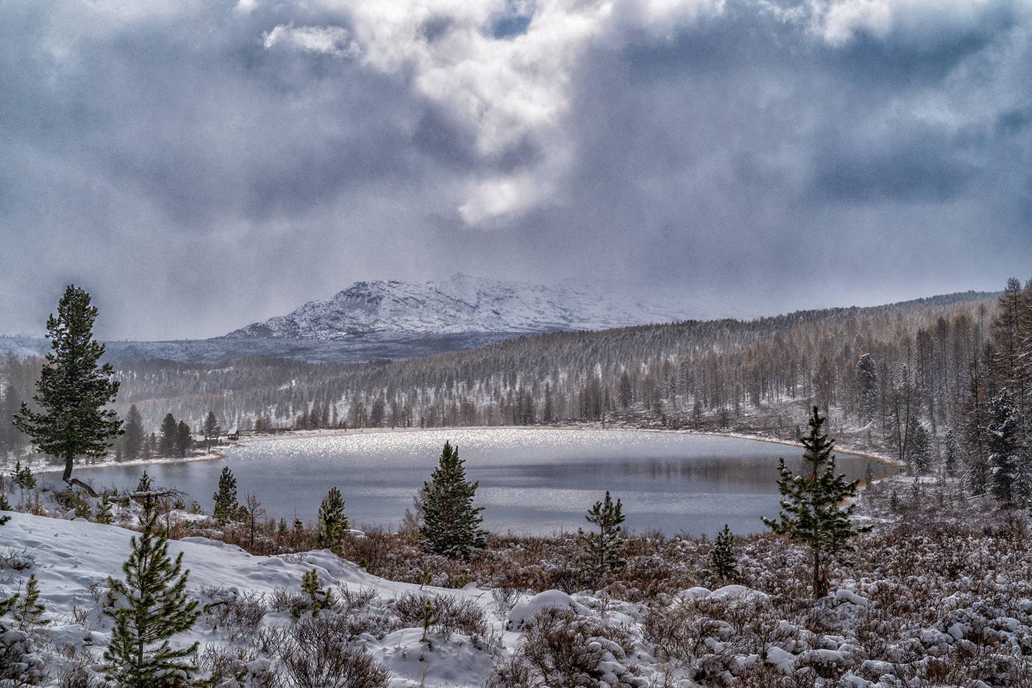 , Лариса Дука