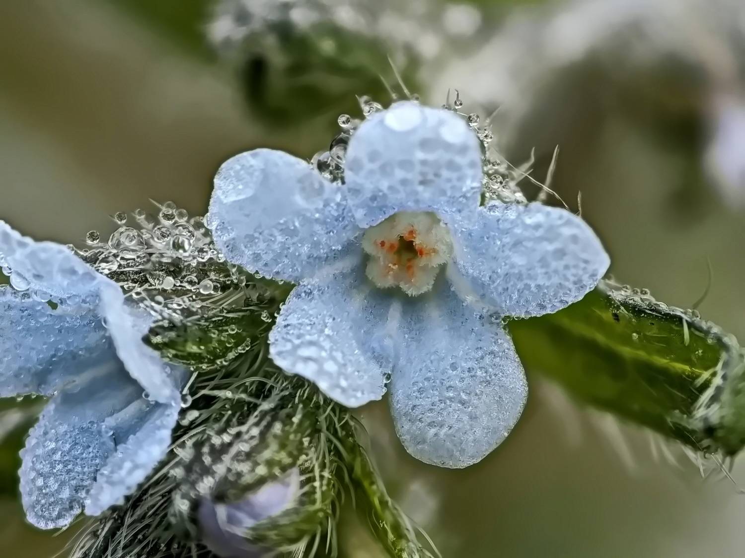 , Кузнецов Дмитрий