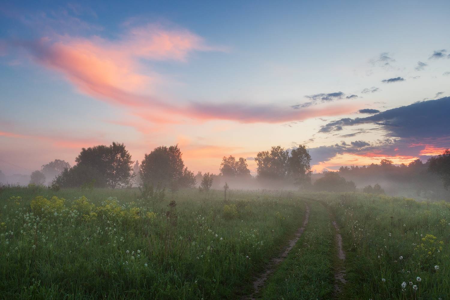 истра, утро, лето, туман, подмосковье, Стрельчук Александр