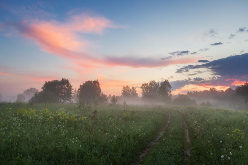 истра, утро, лето, туман, подмосковье Летнее утро фото превью