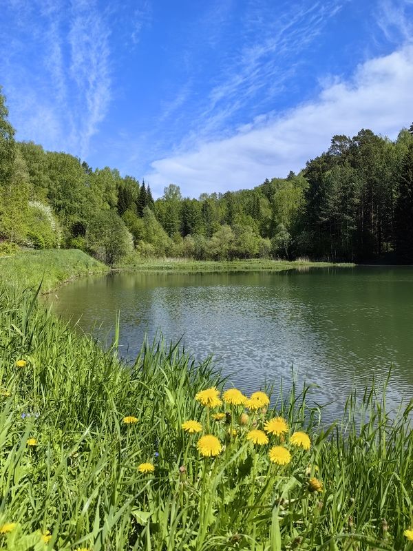 Накануне лета фото превью