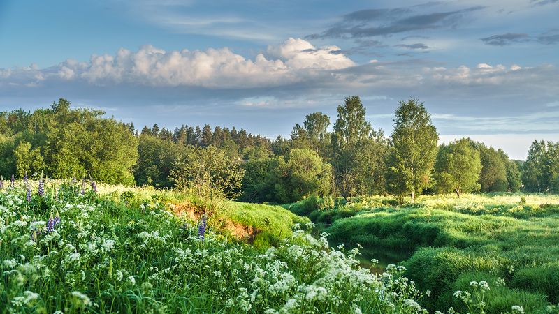 фото превью