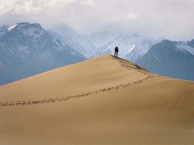 забайкалье, чарские пески, чара, горы, пустыня, дюна Контрасты. / Contrasts. фото превью