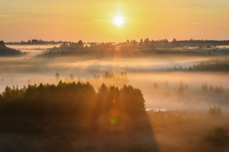 Вот и лето фото превью