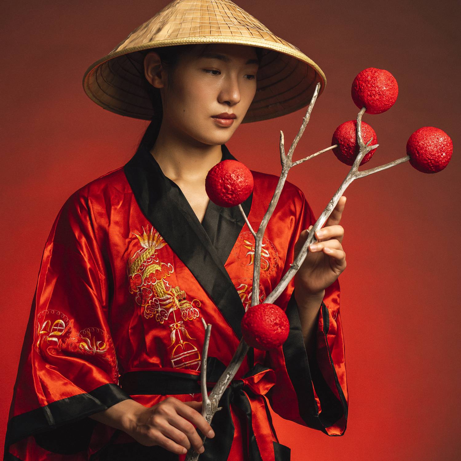 art, beautiful woman, bauty, branch, chinese girl, creative, dreaminess, elegance, fashion, female, femininity, front view, hat, individuality, indoors, lifestyles, looking, one person, portrait, pose, studio shot, traditional clothing, young woman, Alex Tsarfin