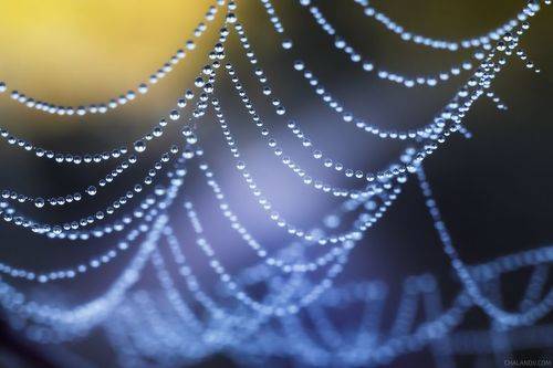 Холодное осеннее утро