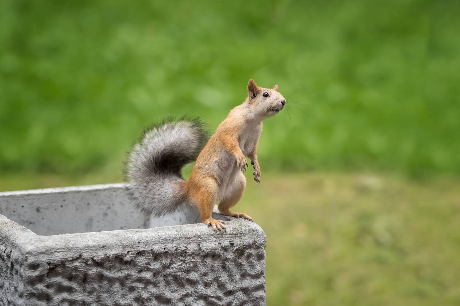 , Рагинская Ольга